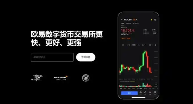 欧一钱包平台展示图